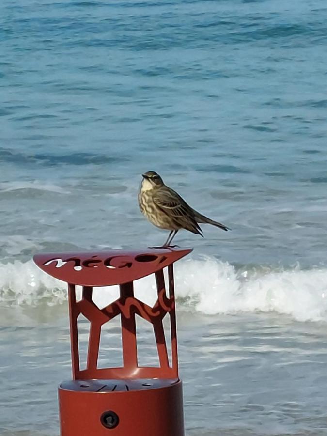 לוקרונה Repos Et Vacances מראה חיצוני תמונה